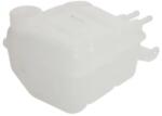 THERMOTEC Vas de Expansiune Racire FORD FOCUS 1 (DBG008TT)