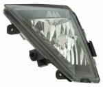 DEPO Proiector Ceata Stanga SEAT IBIZA 5 (445-2014L-UE)