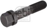 FEBI Surubul de Fixare a Discului de Frana (m12x1 75x55 Lungime Filet 27mm Tijă Hexagonală) Rvi D D Access Magnum Midlum (FE198998)
