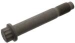 FEBI Surubul de Fixare a Discului de Frana Spate (m12x1 5x75 Lungime Filet 20mm) Saf B Skrb SAF B/SKRB (FE100423)