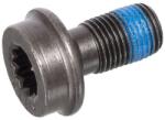FEBI Surub Volanta M10x1mm/19mm Audi A4 B7 A6 C5 A6 C6 A8 D2 A8 D3 Q7 Ford Galaxy I Galaxy Mk I Seat Alhambra Vw Bora Bora I (FE24602)
