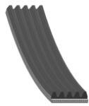 FEBI Curea Accesorii Caneluri (5pk1525) Man Hocl Lion´s City Nl Nü Tga Neoplan Cityliner Ii Tourliner I D2066loh01-d2876lf25 (FE45829)