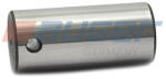 AUGER Pivot Sabot Frana (25x54 5) Scania 3 3 Bus 4 4 Bus G I P I R I T 05.87- SCANIA 3 - series/4 - series/G 1/P 1/R 1/T (AUG53145)