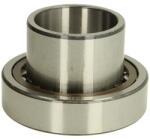 DT SPARE PARTS Rulment Ax Cardan (fata 55/100x62mm (7.32506)