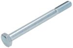 REINHOCH Surub, Suruburi, Piulita de Montaj Brat Bascula Fata Dreapta/Stanga (bolt/Surub M10x1, 5) Audi A4 B5 A4 B6 A4 B7 A6 C5 (RH14-0070)