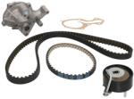 HEPU Kit Set Distributie (curea + Intinzator + Pompa de Apa) Ford B-max C-max Ii Ecosport Fiesta Vi Fiesta Vii Focus Iii (HEPPK02611)