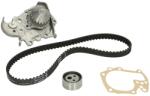 INA Kit Set Distributie (curea + Intinzator + Pompa de Apa) Renault 19 I 19 Ii Megane I Megane I Classic Megane I Coach (530001830)