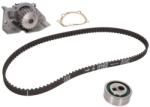 INA Kit Set Distributie (curea + Intinzator + Pompa de Apa) Citroen Berlingo Bx Evasion Xantia Xsara Zx Fiat Ulysse Peugeot (530025830)