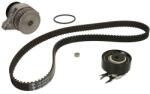 INA Kit Set Distributie (curea + Intinzator + Pompa de Apa) Seat Cordoba Cordoba Vario Ibiza Ii Inca Skoda Felicia I (530016730)
