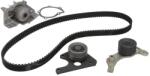 INA Kit Set Distributie (curea + Intinzator + Pompa de Apa) Citroen Berlingo Evasion Jumper I Jumpy I Xantia Xsara Zx Fiat (530009631)