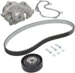 DAYCO Kit Set Distributie (curea + Intinzator + Pompa de Apa) Ford C-max Fiesta Fiesta Iv Focus C-max Focus I Focus Ii Galaxy (DAYKTBWP4700)