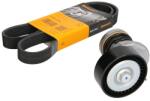 CONTITECH Set Curea Accesorii Transmisie cu Intinzator Audi A1 A3 Q3 Tt Seat Alhambra Altea Altea Xl Ibiza Iv Ibiza Iv Sc Ibiza (6PK1070K1)