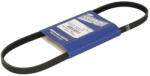 CARRIER Multi-v-curea Pompa de Apa 50-60330-00 (50-60330-00)