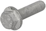 SASIC Surubul Angrenajului Arborelui Cotit Opel Movano a Renault 19 I 19 Ii Clio I Clio Ii Kangoo Kangoo Express Laguna I (SAS8704007)