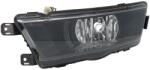 ZKW Lampa de Ceata Fata Stanga (h8 Cadru Negru) Skoda Rapid 07.12-03.17 SKODA RAPID (719.31.000.99)