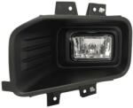 TYC Lampa de Ceata Fata Stanga (h10 fara Ece) Ford F-series Xiii 01.17-05.20 FORD F-SERIES FORD USA F-150 (TYC19-6224-A0-1A)