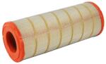 FILTRON Filtru de Aer Daf 55 Cs107m-cs173m 11.95-12.00 DAF 55 CS107M-CS173M (AM447/3)
