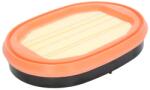 MANN-FILTER Filtru Aer 249x183x48 Caterpillar 312bl 312d2 317n 318e 420 D 420e 426 C 428 D 428 D Nf 430 D 430 E 432 D 434 E 436 C (CF2550)