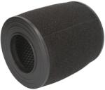 PIPERCROSS Filtru de Aer Sport Lungime Exterioara: 151mm Latime Exterioara: 78mm Inaltime: 167mm Forma: Rotund Audi A4 B8 2.0-4.2 (TUPX1804)