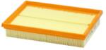 SF Filtru Habitaclu Polen (243x173x42mm) Case-steyr Cvt 120 a Cvt 130 a Cvt 150 a Cvt 170 a Cvt 6135 Profi Cvt 6145 Cvt (SKL46322)