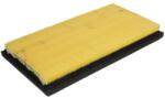 PURRO Filtru Habitaclu Polen 273x142x27 Element Filtrant New Holland FX25 FX45 66 68 NEW HOLLAND FX (PUR-HC0079)