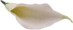  Virágfej - Kála (11cm-polifoam) - Fehér-zöld #1