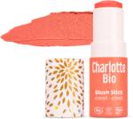 Charlotte Bio Fard BIO obraz cremos sub forma de stick, nuanta coral Charlotte Bio (11234)