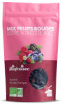 Biofruisec Mix fructe de padure BIO fara zahar, din Alpii Dinarici Biofruisec (11191)
