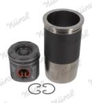 NÜRAL Set Raparatii, Piston/Bucsa Cursa Cilindru 88-423000-00 Bredamenarinibus Lander (88-423000-00)