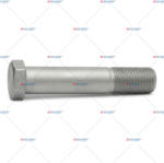 AUGER GERMANY Bolt Erf Ecm Ect Evobus Man Cla E2000 El. . . 2000-2026 (AUG-65167)