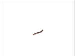 C. E. I Element Blocare Sincron (articulatie Sferica) Scania (160215)