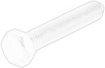 PEUGEOT Surubul Intinzator al Curelei de Distributie M10 Citroen Ax Berlingo C5 I C5 Ii C8 Evasion Jumper I Jumper Ii Jumpy I (692191)