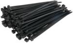 NORMA Coliere Soricei de Fixare Set 100buc Latime 7 6 Mm Lungime 200mm Material: Plastic (CT200X76BLACK)