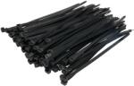 NORMA Coliere Soricei de Fixare Set 100buc Latime 7 6 Mm Lungime 250mm Material: Plastic (CT250X76BLACK)