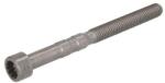 FEBI Surubul de Fixare al Axului Pivotant Audi A2 A3 A4 B5 A4 B6 A4 B7 A6 C5 Seat Alhambra Altea Altea Xl Arosa Cordoba (FE100726)