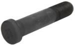 S-TR Prezon Roata Fata/Spate M22x1, 5 X110 5/119, 5mm (lungime Filet 41mm Conversia Fosfatului Acoperit) Iveco Turbostar (STR-40103)