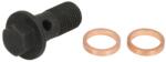 EVORON Surub cu Cap Tubular, Incarcator Nissan Qashqai I Qashqai Ii X-trail Iii Opel Movano B Renault Fluence 1.6d/2.0d/2.3d (EVMK0206)