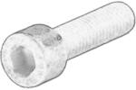 VW Surubul de Rulou Intinzator Audi 100 C2 100 C3 100 C4 80 B4 A4 B5 A6 C4 A8 D2 Cabriolet B3 Coupe B3 Vw Lt 28-35 I Lt (N01472615)