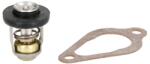 SIERRA Termostat al Sistemului de Racire (60 °c 140 °f 60º (18-43175)