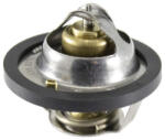 RMS Termostat Aprilia Pegaso Yamaha Mt-03 Xt 660 2004-2015 APRILIA Pegaso YAMAHA MT-03/XT (RMS100120320)