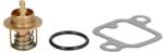 SIERRA Termostat Lichid Racire 18-3621 (18-3621)