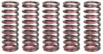 TRW Set Arcuri Ambreiaj Honda Cbr 1000 2004-2007 HONDA CBR (MEF315-5)