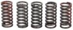TRW Set Arcuri Ambreiaj Husqvarna Tx Ktm Exc-f Sx Sx-f Xc-f Xcf-w 125/150/250 2004-2020 HUSQVARNA TX KTM EXC-F/SX/SX-F/XC-F (MEF328-5)
