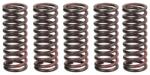 TRW Set Arcuri Ambreiaj Kawasaki Kx 125/250 2003-2022 KAWASAKI KX (MEF312-5)