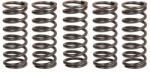 TRW Set Arcuri Ambreiaj Kawasaki Klx Kx 450 2005-2018 KAWASAKI KLX/KX (MEF310-5)