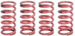 TRW Set Arcuri Ambreiaj Kawasaki Ex 250 2007-2014 KAWASAKI EX (MEF311-4)