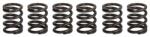 TRW Arcuri de Ambreiaj Honda Cb Kawasaki Zxr Suzuki Gn Vl 125-750 1989-2008 HONDA CB KAWASAKI ZXR SUZUKI GN/VL (MEF373-6)