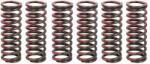 TRW Set Arcuri Ambreiaj Suzuki Rm-z 450 2005-2007 SUZUKI RM-Z (MEF307-6)