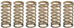 TRW Set Arcuri Ambreiaj Aprilia Tuono 1100 2015-2020 APRILIA Tuono (MEF339-6)