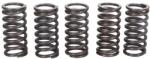 TRW Set Arcuri Ambreiaj Husqvarna Sm Suzuki Gz Vl Triumph Adventurer Daytona Legend Sprint Street Triple Thunderbird Tiger (MEF121-5)